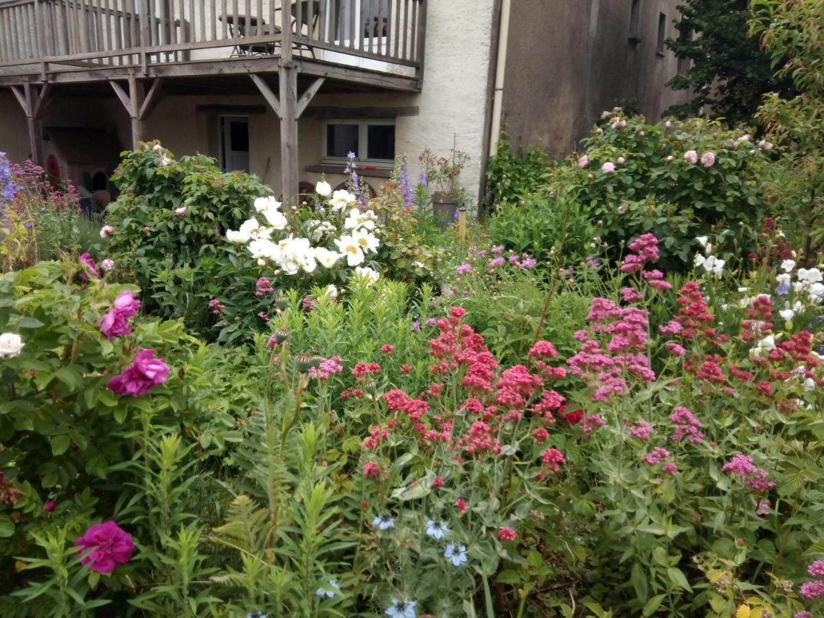 La Grange Aux Hirondelles Bed & Breakfast Athienville Bagian luar foto